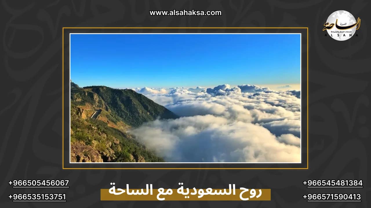 روح السعودية